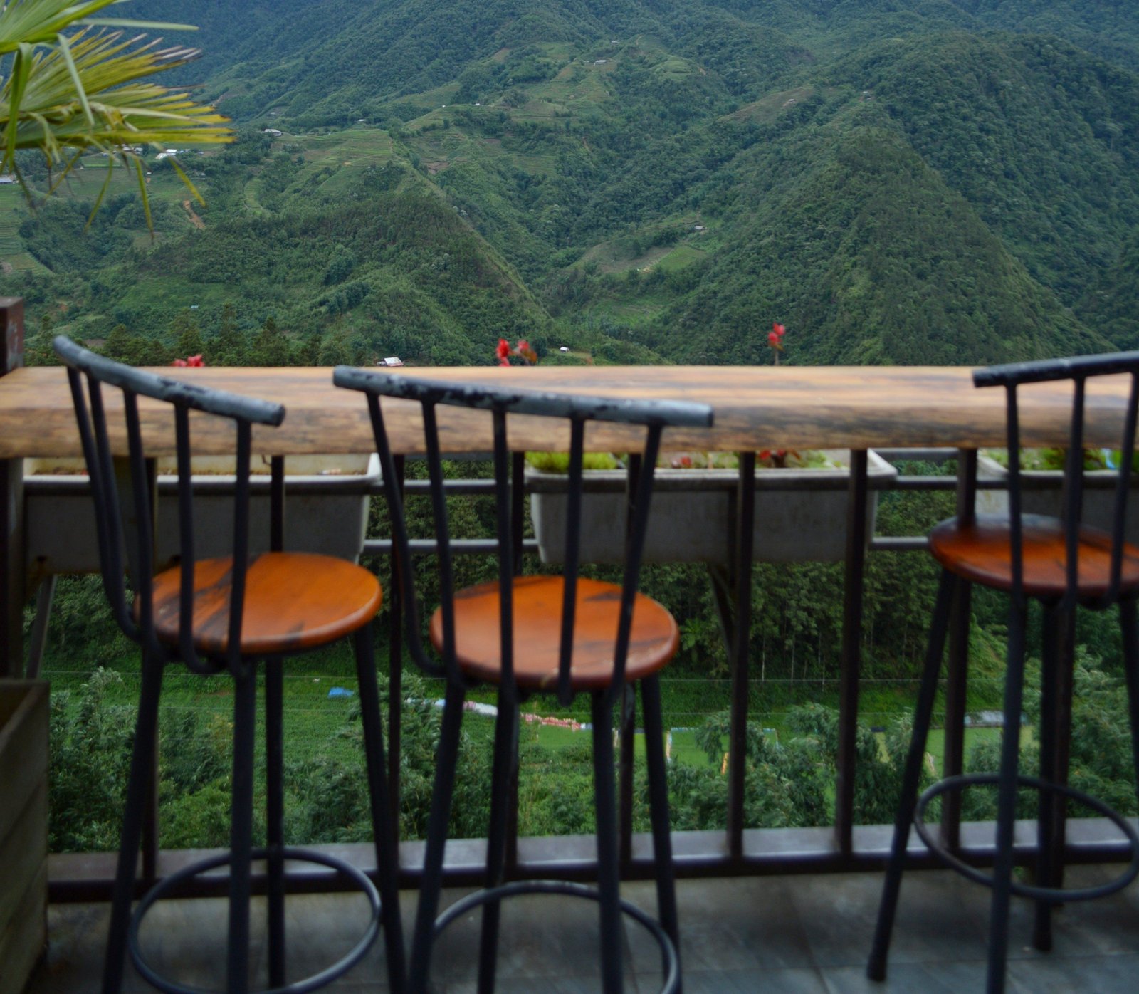 Mountain View Cafe